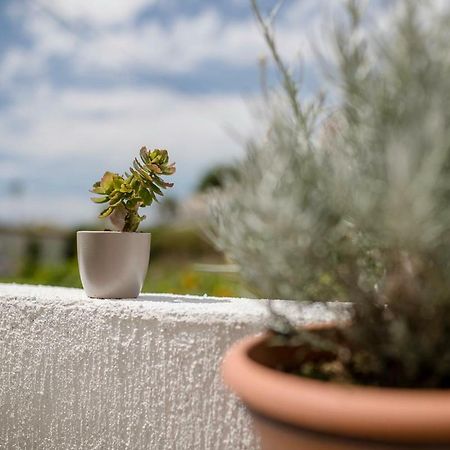 Apartman Jasmina Banjol エクステリア 写真